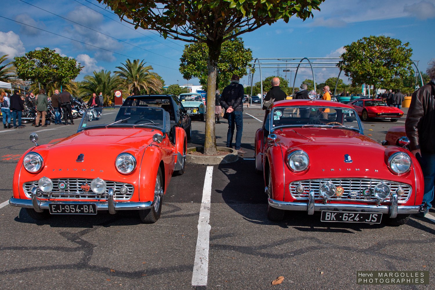 Triumph TR3-01.jpg